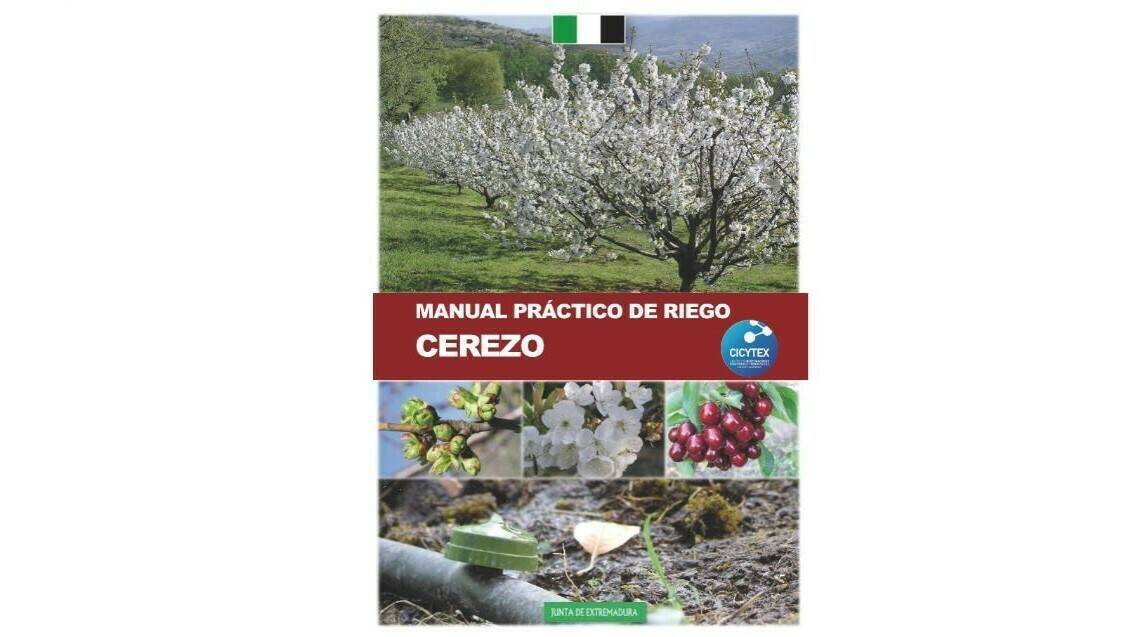 En cerezo es importante evitar el estrés hídrico en precosecha